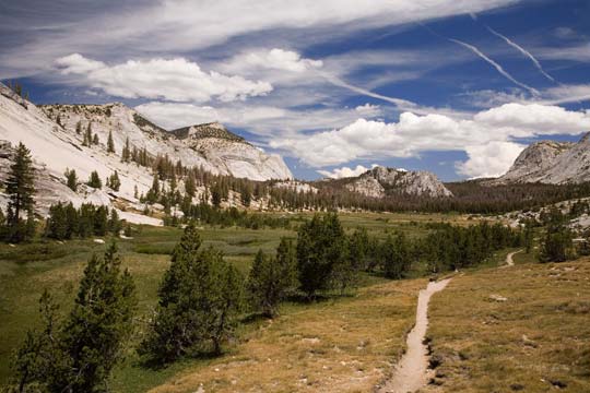 Fletcher Creek Meadow