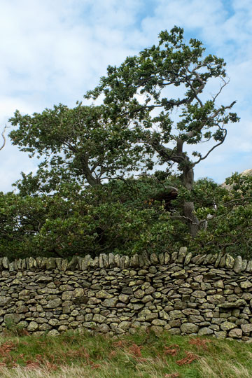 Stone Wall