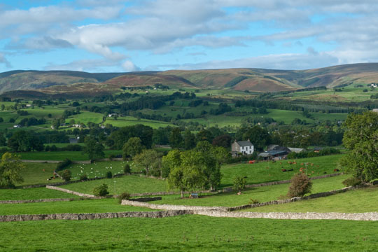 Countryside