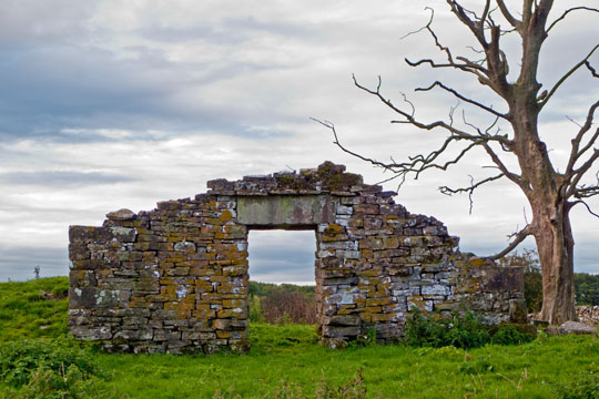 Homestead