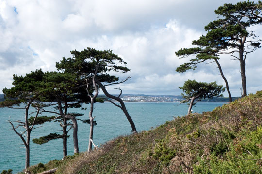 View from St Anthony Head
